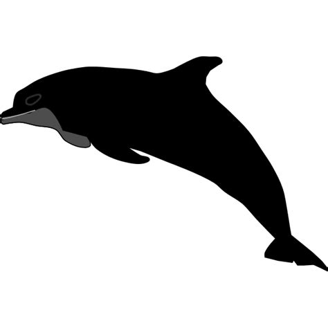 Cool dolphin | Free SVG