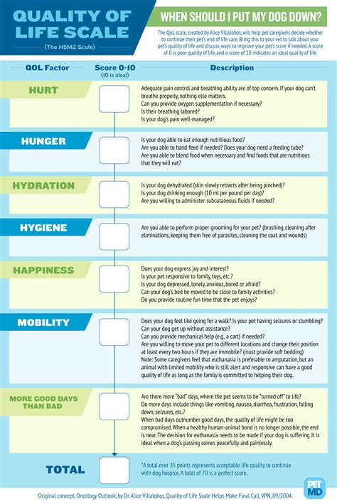 Infographic: Use This Quality of Life Scale to Decide When to Put Your ...