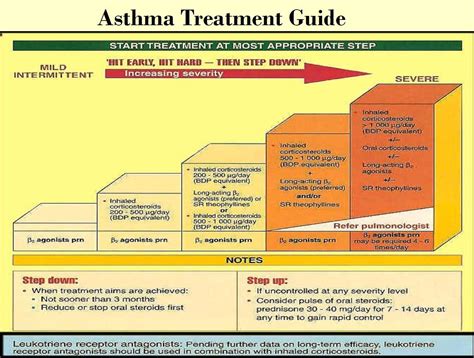 Live A Happy And Wholeful Life With Asthma - Asthma Care | Asthma treatment, Asthma cure, Asthma ...