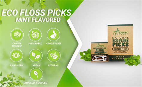 Amazon.com: Natural Dental Floss Picks - Eco Friendly Cruelty Free ...