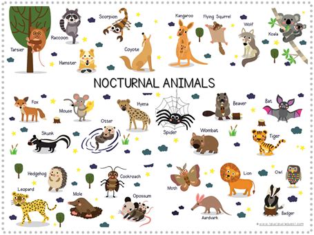 What Is The Climax Of Nocturnal Animals - Russell Catlett Coiffure