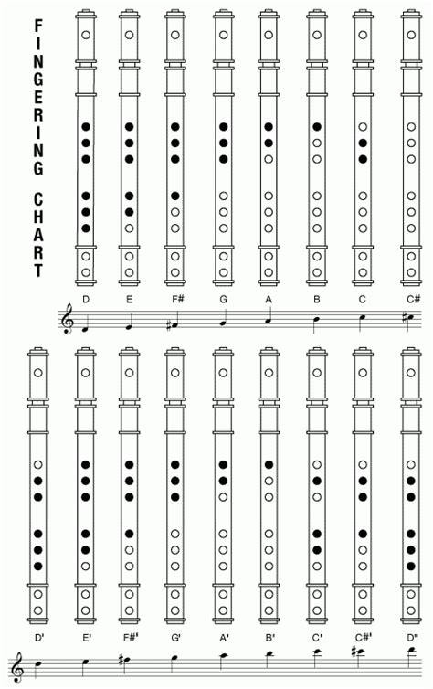 Basic Guide To Flute Pdf