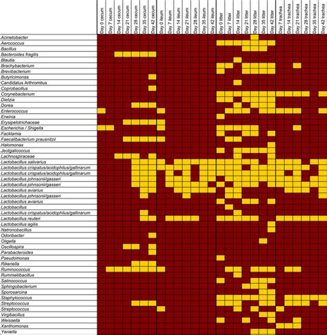 Core OTUs of the broiler microbiota. Classification of OTUs identified... | Download Scientific ...