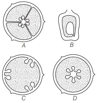 In the diagram of types of placentation given below, A, B, C and D, respe..