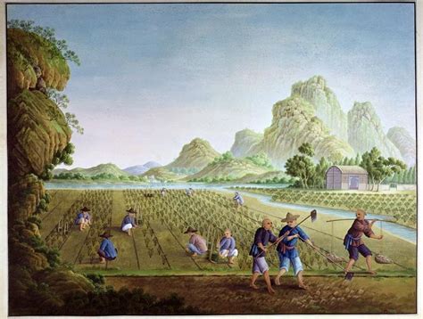 In Chinese agricultural society only around six per cent of the population lived in cities with ...