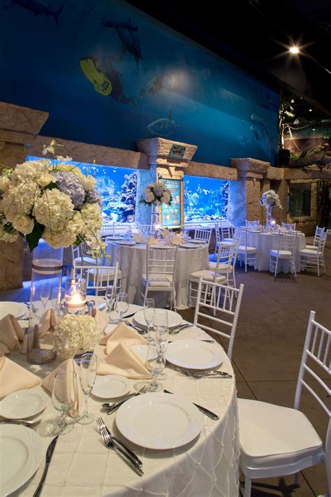 Atlantis Banquets & Events / Long Island Aquarium Weddings