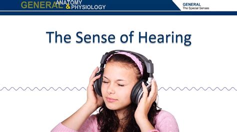 The Sense of Hearing (Screencast) - Wisc-Online OER