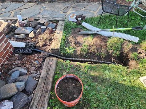 How To Build A Rain Garden In A Drainage Ditch | Storables