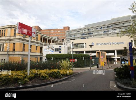 St Vincent's Hospital, Sydney Wikipedia, 48% OFF