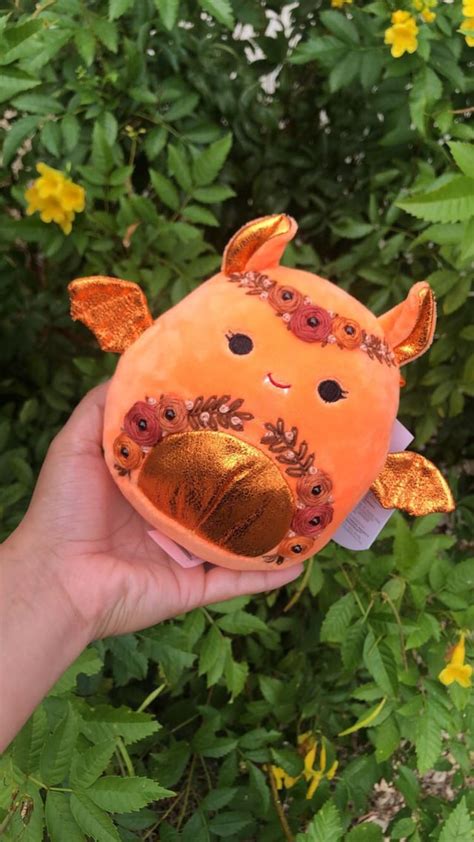 Happy Halloween!🧡🦇🎃 : r/squishmallow