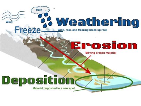 Weathering, Erosion, Deposition Diagram | Quizlet