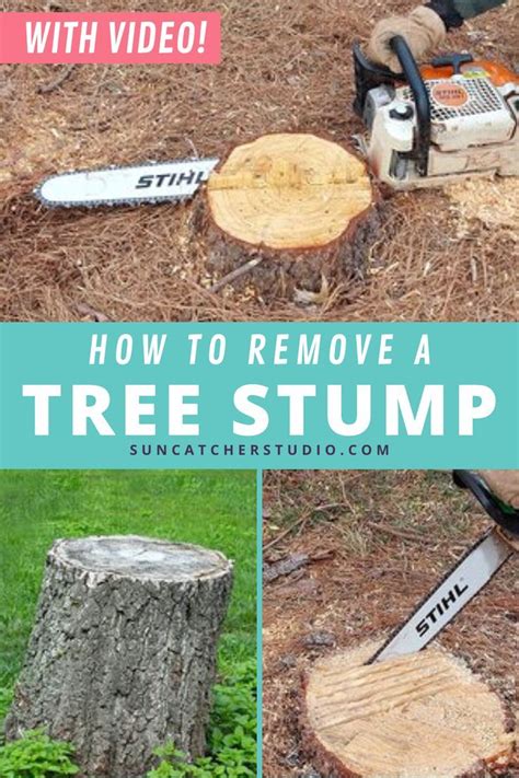 DIY Tree Stump Removal in 2022 | Stump removal, Tree stump decor, Diy tree