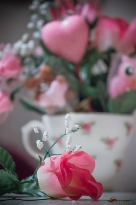 Free Images : flower, petal, love, heart, rose, food, red, color, romance, romantic, pink ...
