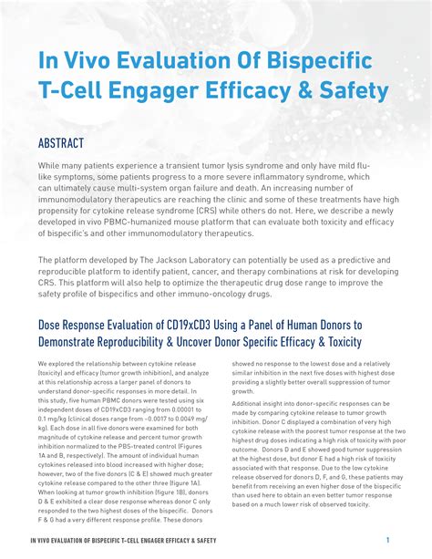 Unlocking the potential of bispecific T-cell engagers: Efficacy and safety insights revealed ...