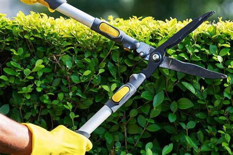 Garden maintenance: How to choose the right gardening service for you ...