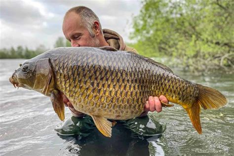 Gloucester Carp Fishing Lakes Near Me - Discover The Best Fishing Spots