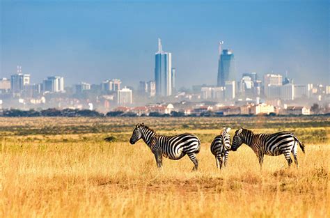 Nairobi National Park - Maasai Mara National Reserve