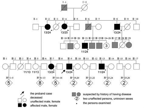 Family tree of the Iranian family with SCA6. The numbers below the ...