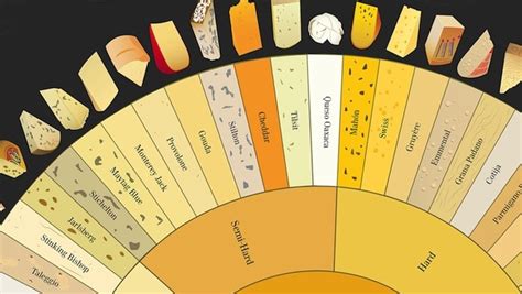 Infographic: An Illustrated Guide to 66 Types of Cheese | WIRED