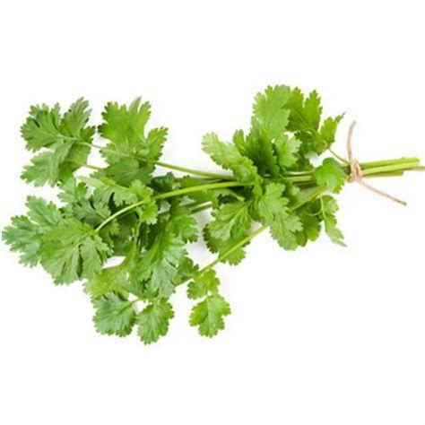 Fresh Coriander For Cold Storage Rental Services at best price in Bhiwandi | ID: 20189492691