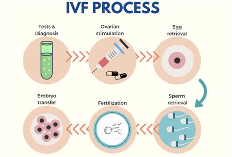 Advanced IVF and Fertility Treatments