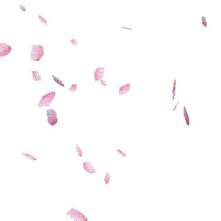 pink petals falling, pink , petals , falling , spring , anime , manga , gif - Free animated GIF ...