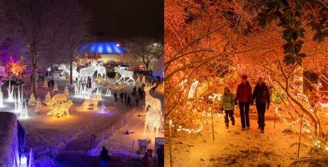 14 stunning Christmas lights events in Metro Vancouver to make you merry | Listed