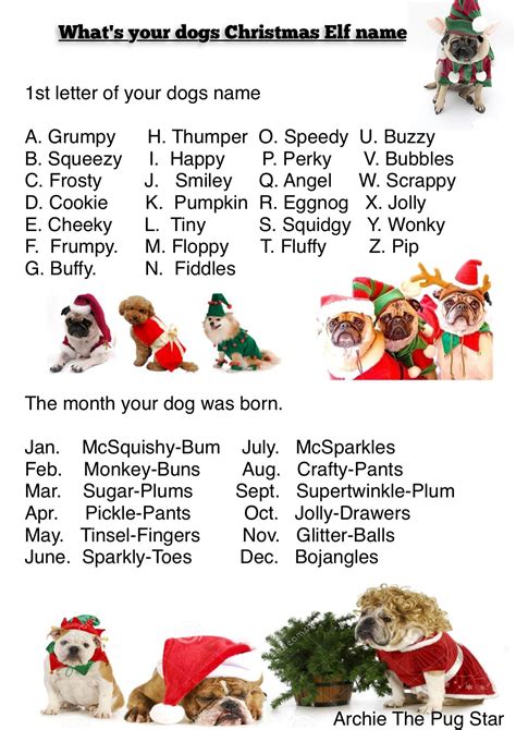 A bit of Christmas fun... Christmas Elf Names, Christmas Pins, Christmas Animals, Christmas Dog ...