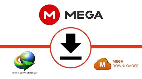 How To Download Files From MEGA - Números do jacaré para a sorte na aposta!