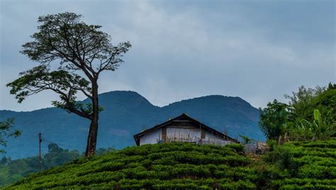 900 Kandi Wayanad - A Little Secret of Wayanad