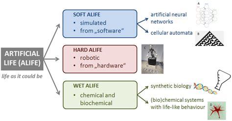 Artificial life research. (A -Artificial neural networks. B -Cellular ...