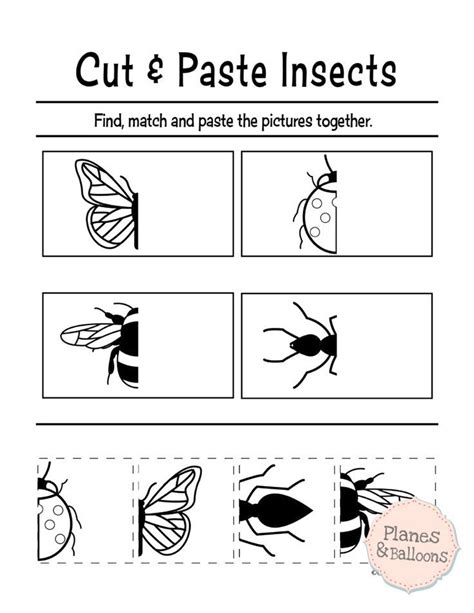 Free Cut And Glue Worksheets