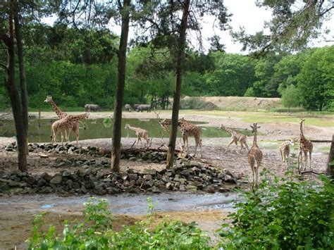 Burgers Zoo in Arnhem - Netherlands Tourism