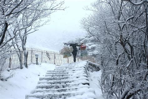 Huangshan Winter, Yellow Mountain Winter