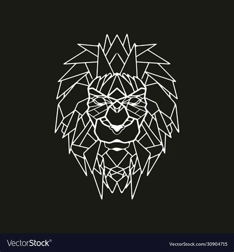 Abstract Lion Drawings