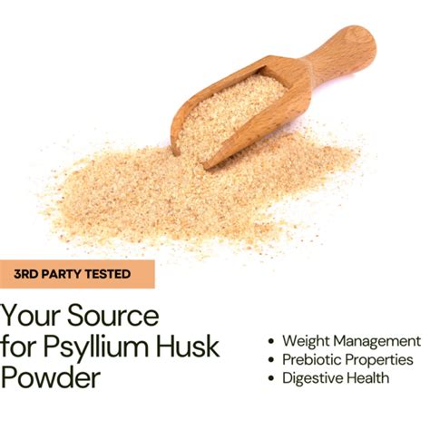 Exploring Psyllium Husk Market Trends: Insights and Analysis - Nutrient ...