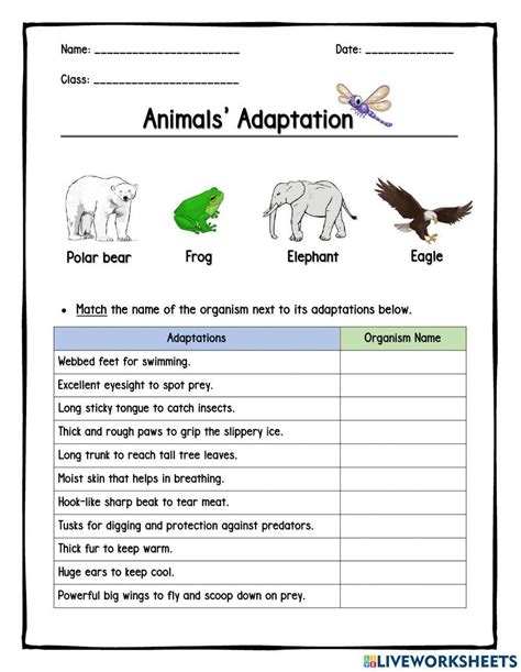Adaptations Worksheet 3rd Grade Adaptation Test Works - vrogue.co