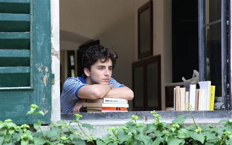 Luca Guadagnino: Call Me by Your Name