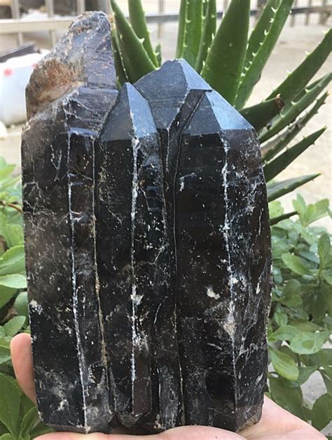 Black Quartz Crystal cluster - cm 20x11x7 - 1465 g - Catawiki