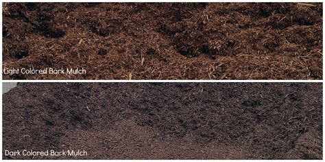 Using Bark Mulch in your Landscaping - Landscape Solutions | Landscape Solutions - An Investment ...