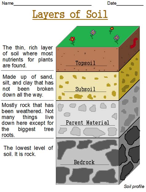 Layers Of Soil 3d Model