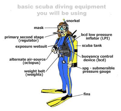 basic scuba gear diagram - Start Making Waves