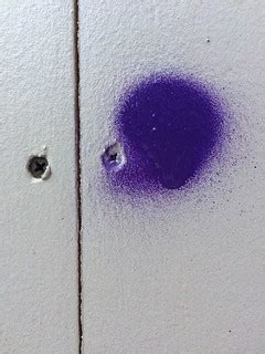 Purple spray paint dot IMG_8024 | Ryan Van Etten | Flickr