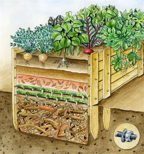 Fill the raised bed - These layers increase harvest success - in 2020 | Vegetable garden raised ...