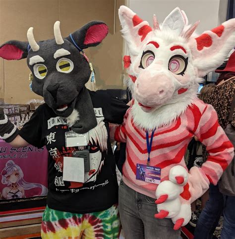 Furcon: What to Expect at Your First Furry Convention - TulsaKids