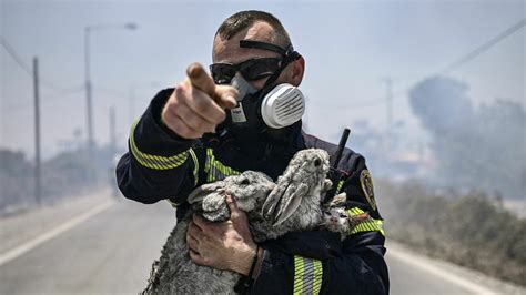 Greece wildfire evacuations: Tourists scramble to leave Rhodes and ...