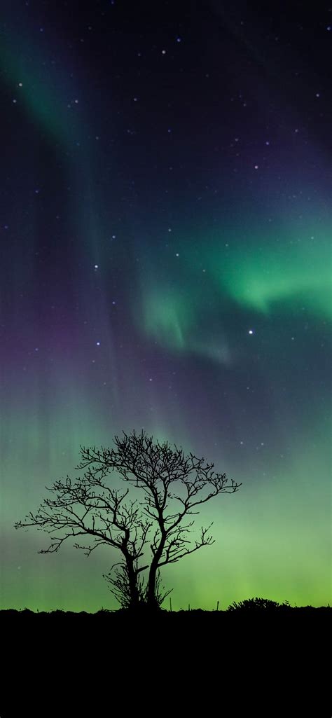 Aurora Borealis Wallpaper 4K, 5K, Northern Lights, Night