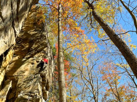 Top 5 Sport Climbing Destinations in the United States | GearJunkie