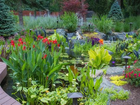 What are Pond Plants and How do they Benefit my Koi Pond in Philadelphia? - Turpin Landscaping