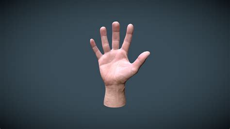 Male Hand - Download Free 3D model by Lassi Kaukonen (@thesidekick) [26b30d9] - Sketchfab